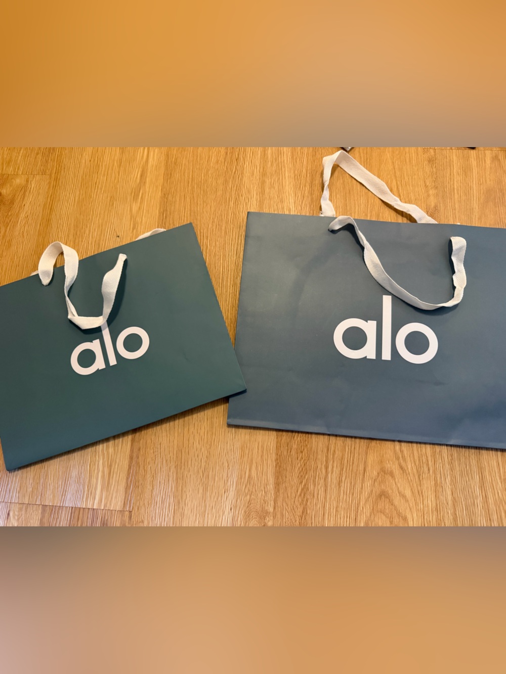 ALO & Aritzia paper bags *6